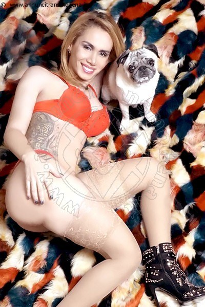 Foto Gabriella Bianchi  Annunci Sexy Transescort L'aquila